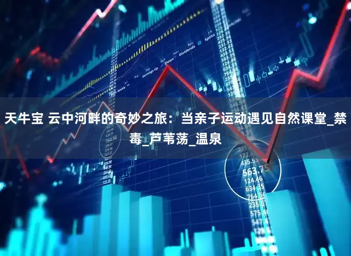 天牛宝 云中河畔的奇妙之旅：当亲子运动遇见自然课堂_禁毒_芦苇荡_温泉