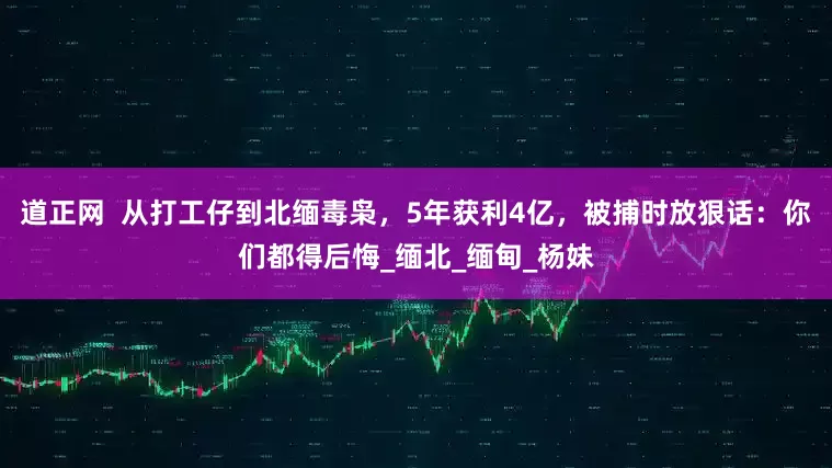 道正网  从打工仔到北缅毒枭，5年获利4亿，被捕时放狠话：你们都得后悔_缅北_缅甸_杨妹