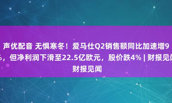 声优配音 无惧寒冬！爱马仕Q2销售额同比加速增9%，但净利润下滑至22.5亿欧元，股价跌4% | 财报见闻